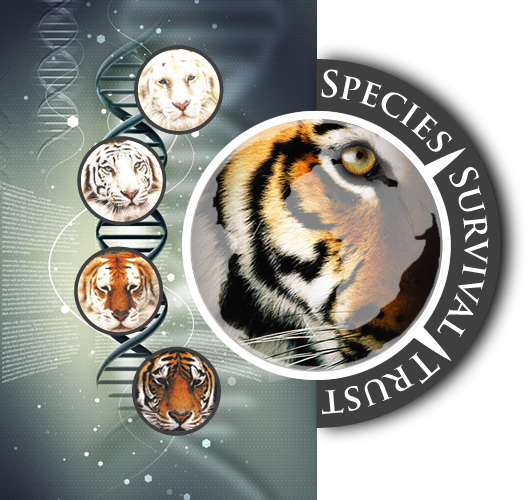 Species Survival Trust logo